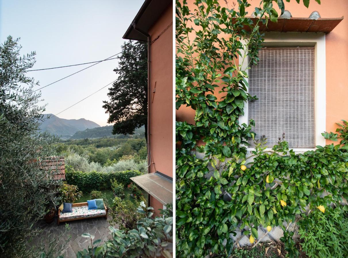 Casetta Di Butia, Appartamento Iris Lucca Exterior photo