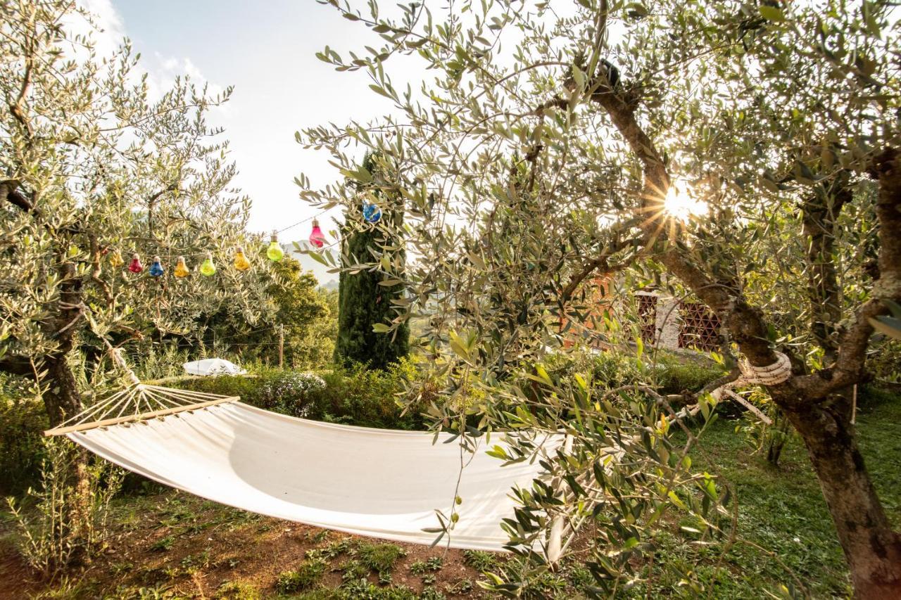 Casetta Di Butia, Appartamento Iris Lucca Exterior photo
